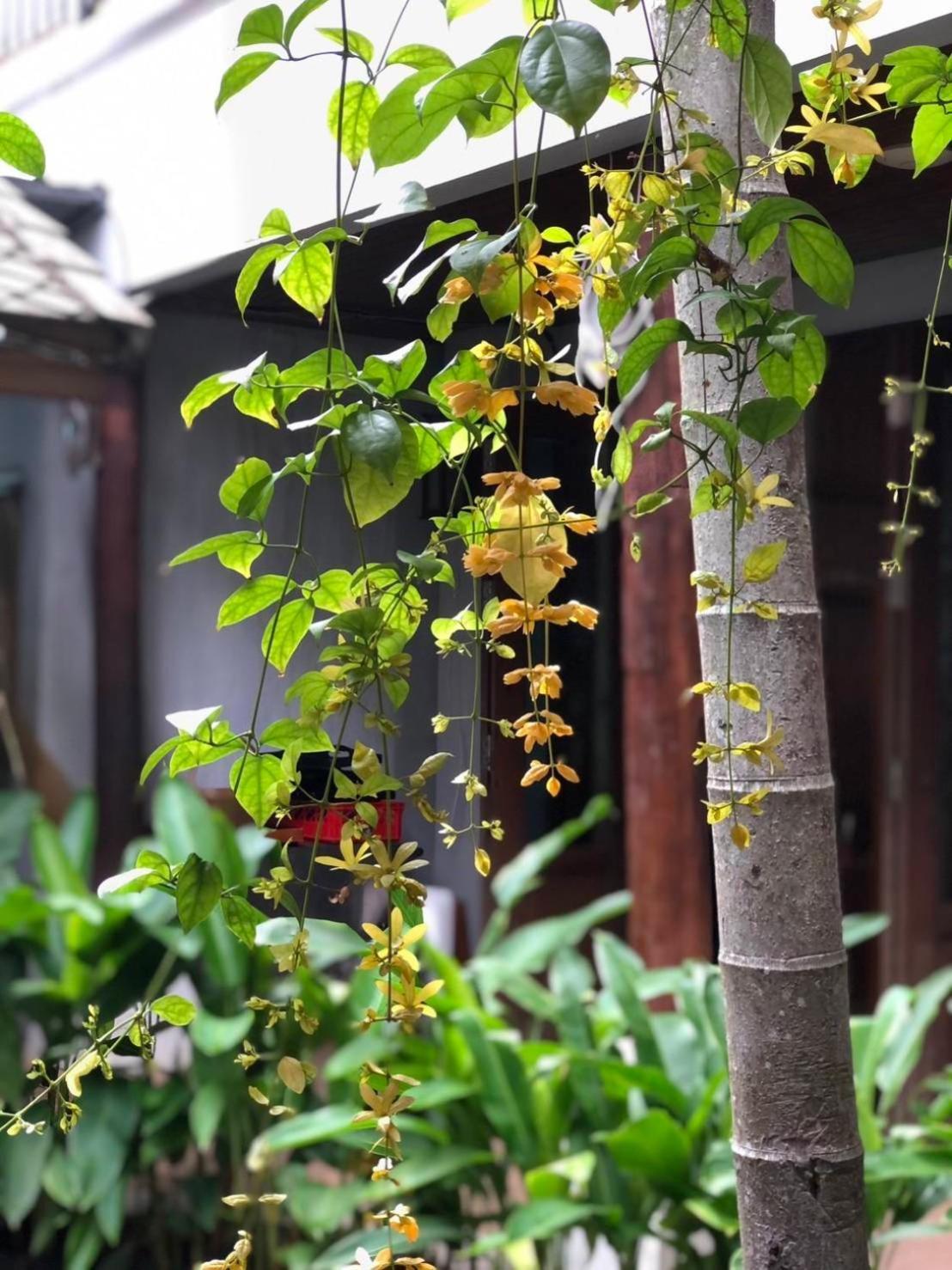 Khammon Lanna Resort Chiang Mai Eksteriør billede