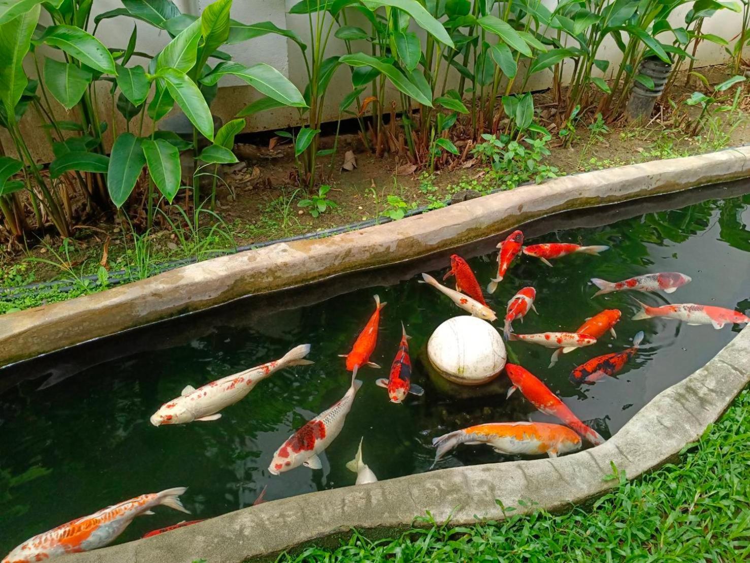 Khammon Lanna Resort Chiang Mai Eksteriør billede